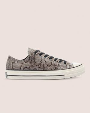 Converse Chuck 70 Reptile Suede Low Tops Shoes Grey | CV-260UHV