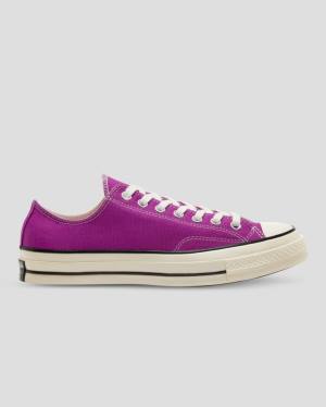 Converse Chuck 70 Vintage Canvas Low Tops Shoes Purple | CV-846OPD