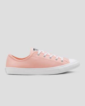 Converse Chuck Taylor All Star Dainty Seasonal Colour Low Tops Shoes Pink | CV-719VMH