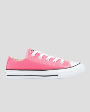 Converse Chuck Taylor All Star Seasonal Colour Low Tops Shoes Pink | CV-153XQW