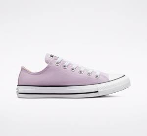 Converse Chuck Taylor All Star Seasonal Color Low Tops Shoes Lavender | CV-165OAT