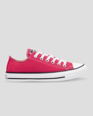 Converse Chuck Taylor All Star Seasonal Colour Low Tops Shoes Pink | CV-328FUQ