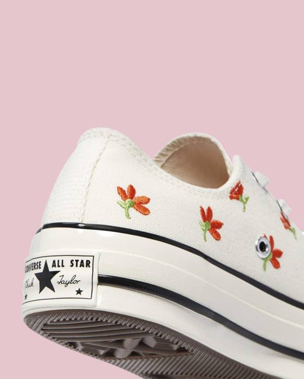 Converse Chuck 70 Embroidered Garden Party Low Tops Shoes Beige | CV-459PXM