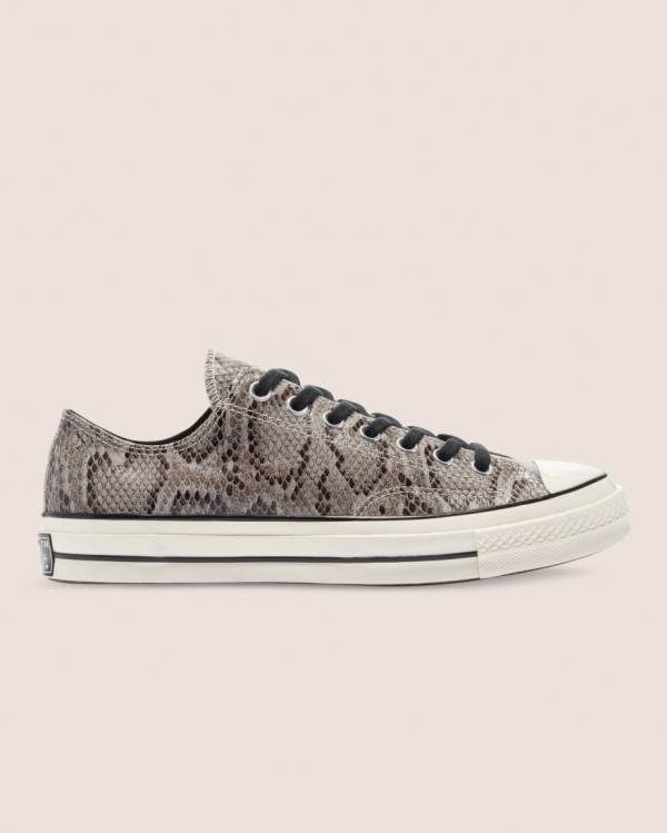 Converse Chuck 70 Reptile Suede Low Tops Shoes Grey | CV-790LPZ