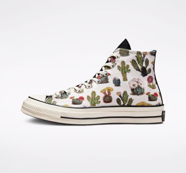 Converse Chuck 70 Succulents High Tops Shoes Black | CV-123ASG