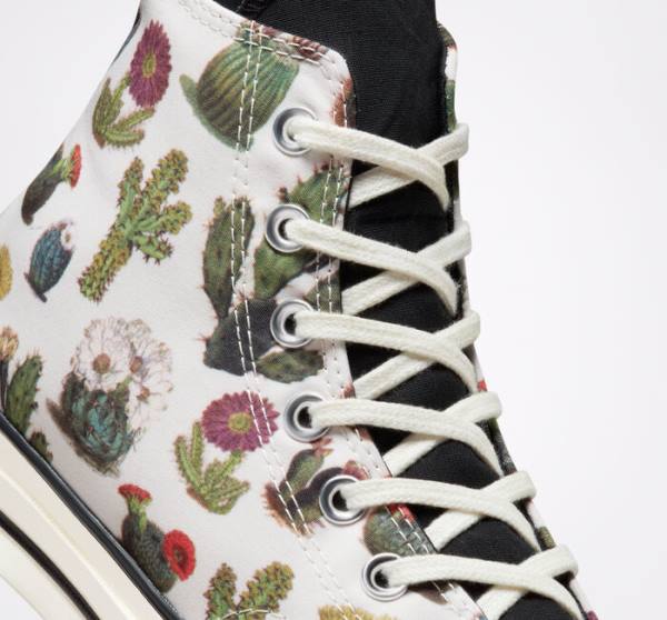 Converse Chuck 70 Succulents High Tops Shoes Black | CV-123ASG