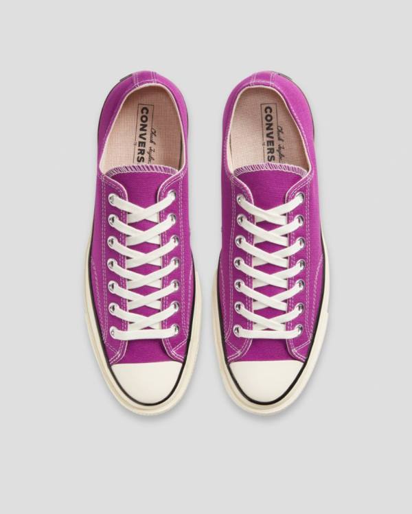 Converse Chuck 70 Vintage Canvas Low Tops Shoes Purple | CV-846OPD