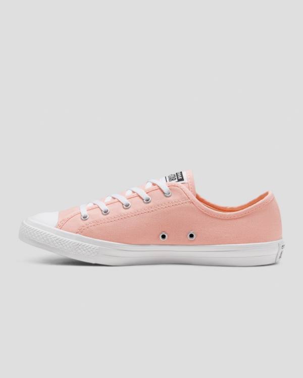 Converse Chuck Taylor All Star Dainty Seasonal Colour Low Tops Shoes Pink | CV-719VMH