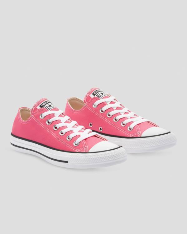 Converse Chuck Taylor All Star Seasonal Colour Low Tops Shoes Pink | CV-540RFI