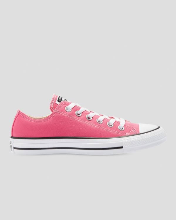 Converse Chuck Taylor All Star Seasonal Colour Low Tops Shoes Pink | CV-540RFI