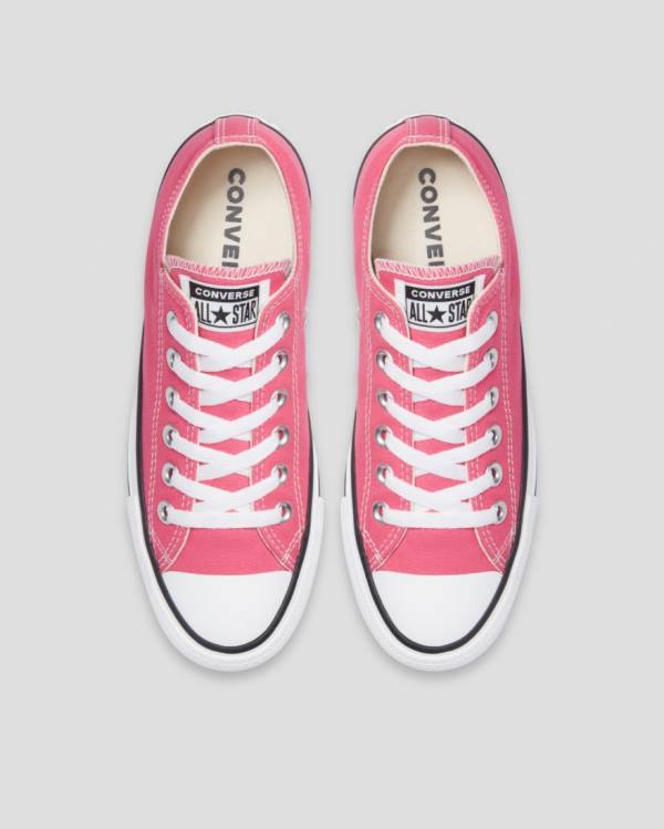 Converse Chuck Taylor All Star Seasonal Colour Low Tops Shoes Pink | CV-713FNW