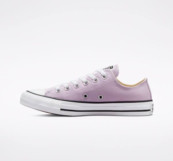 Converse Chuck Taylor All Star Seasonal Color Low Tops Shoes Lavender | CV-794UEB