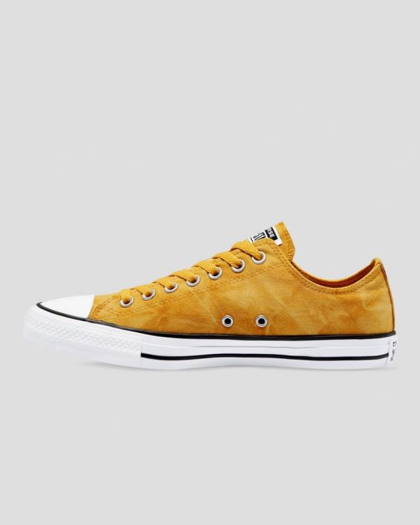 Converse Chuck Taylor All Star Summer Daze Wash Low Tops Shoes Yellow | CV-976PXK