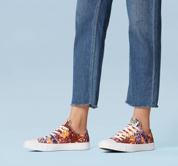 Converse Chuck Taylor All Star Tropical Florals Low Tops Shoes Orange / Black / White | CV-527KPD